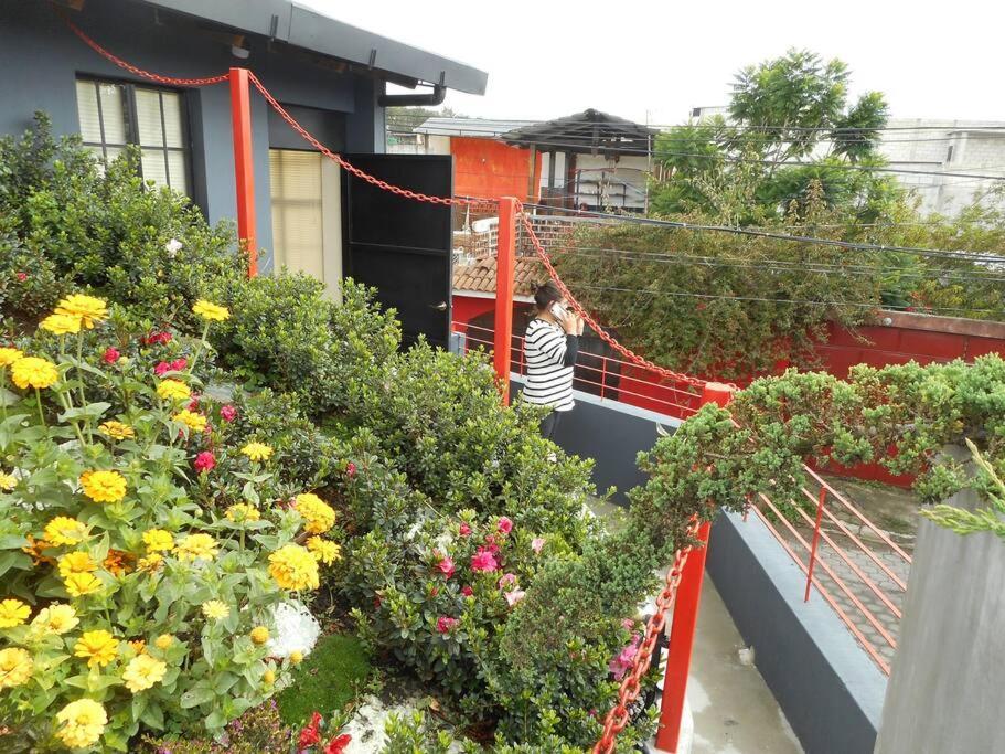 Comfy. Full Internet, Kitchen, Washer And Dryer, Netflix Chimaltenango المظهر الخارجي الصورة